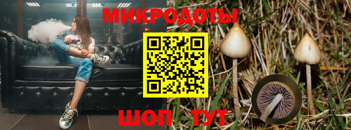 купить наркотик  Псилоцибиновые грибы Psilocybe  Псилоцибиновые грибы мухоморы  Вход с VPN  Топки 